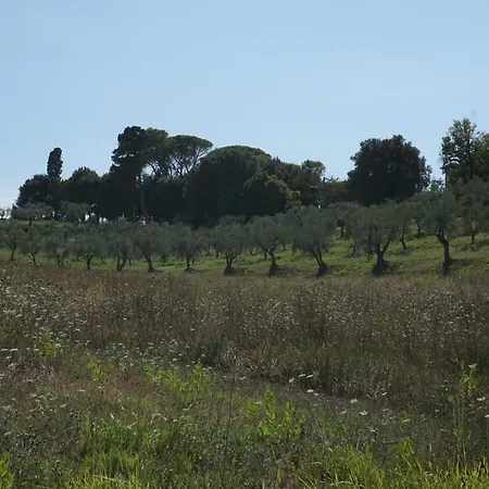 Farma Cheloni *