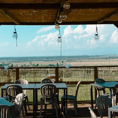 Cheloni Agroturismo Guasticce