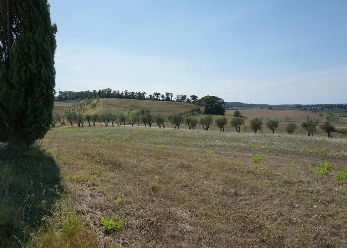 Cheloni