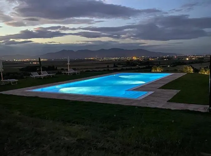 Cheloni Guasticce
